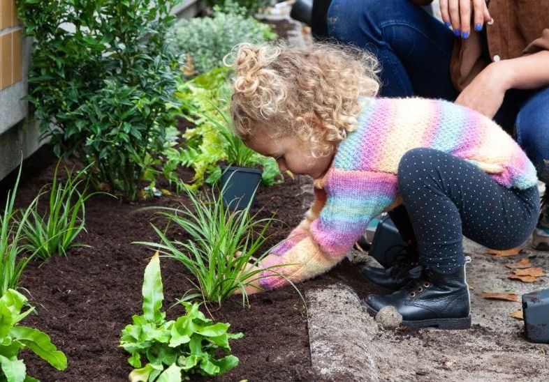 Van plantenmarkt tot natuurexcursie: bij dit gratis festival draait alles om groen