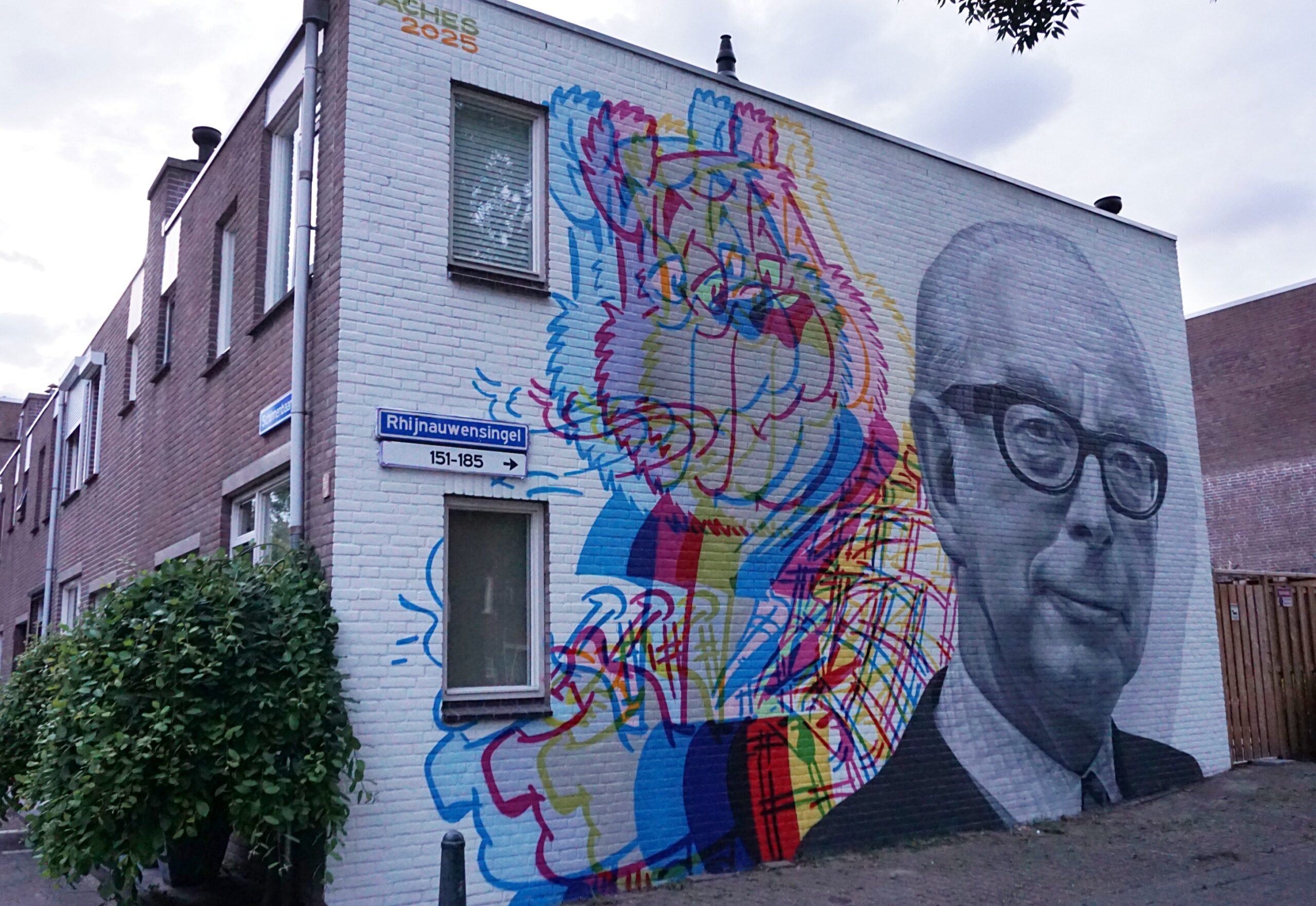 8 x nieuwe muurschilderingen in Beverwaard