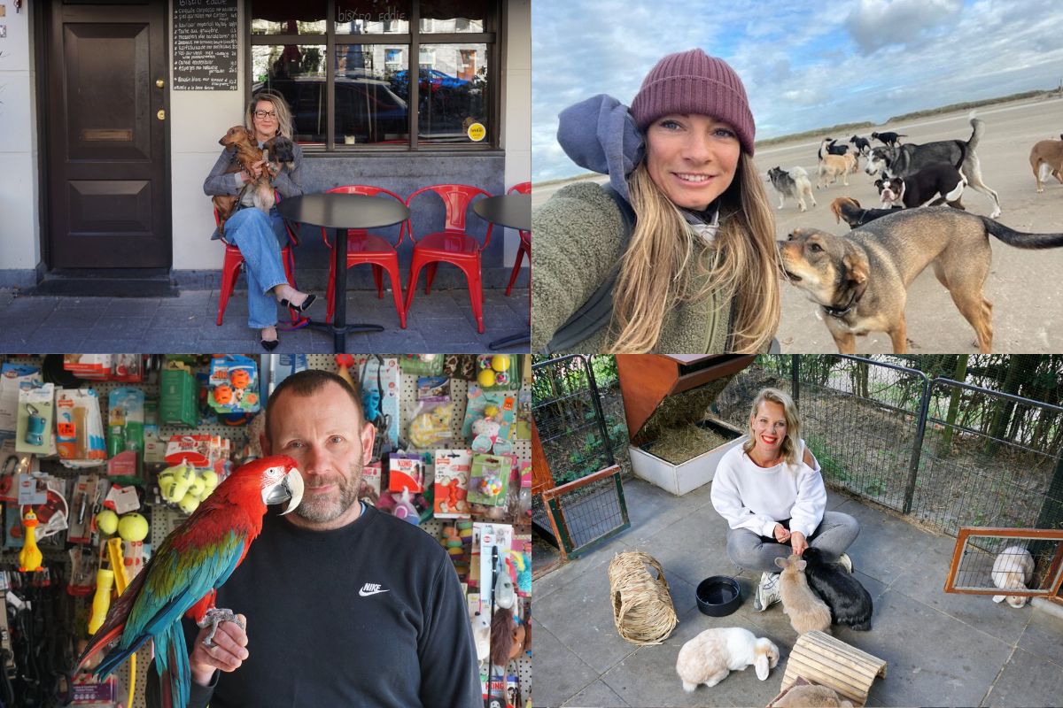 Fijne Dierendag: 5 x beestachtige verhalen uit Rotterdam