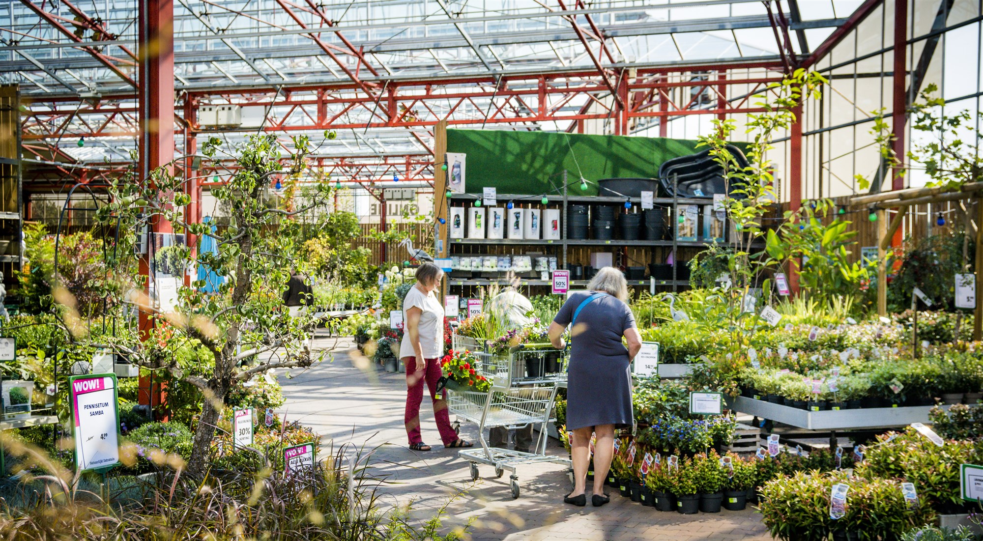 De tuintrends van 2024 zo kun jij er in Schiedam al mee aan de slag