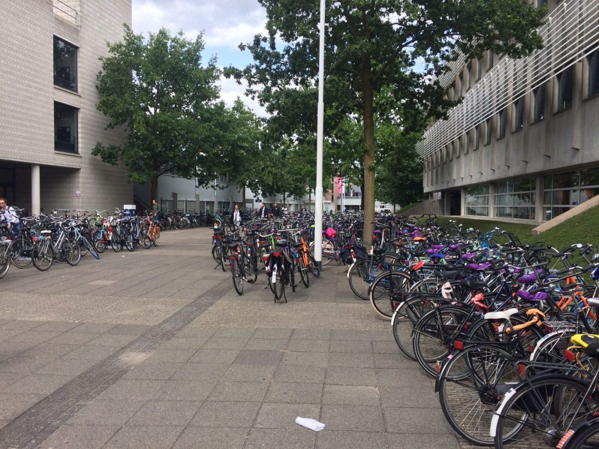 universiteit fietsen