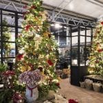 doen tweede kerstdag tilburg