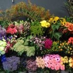 all about flowers