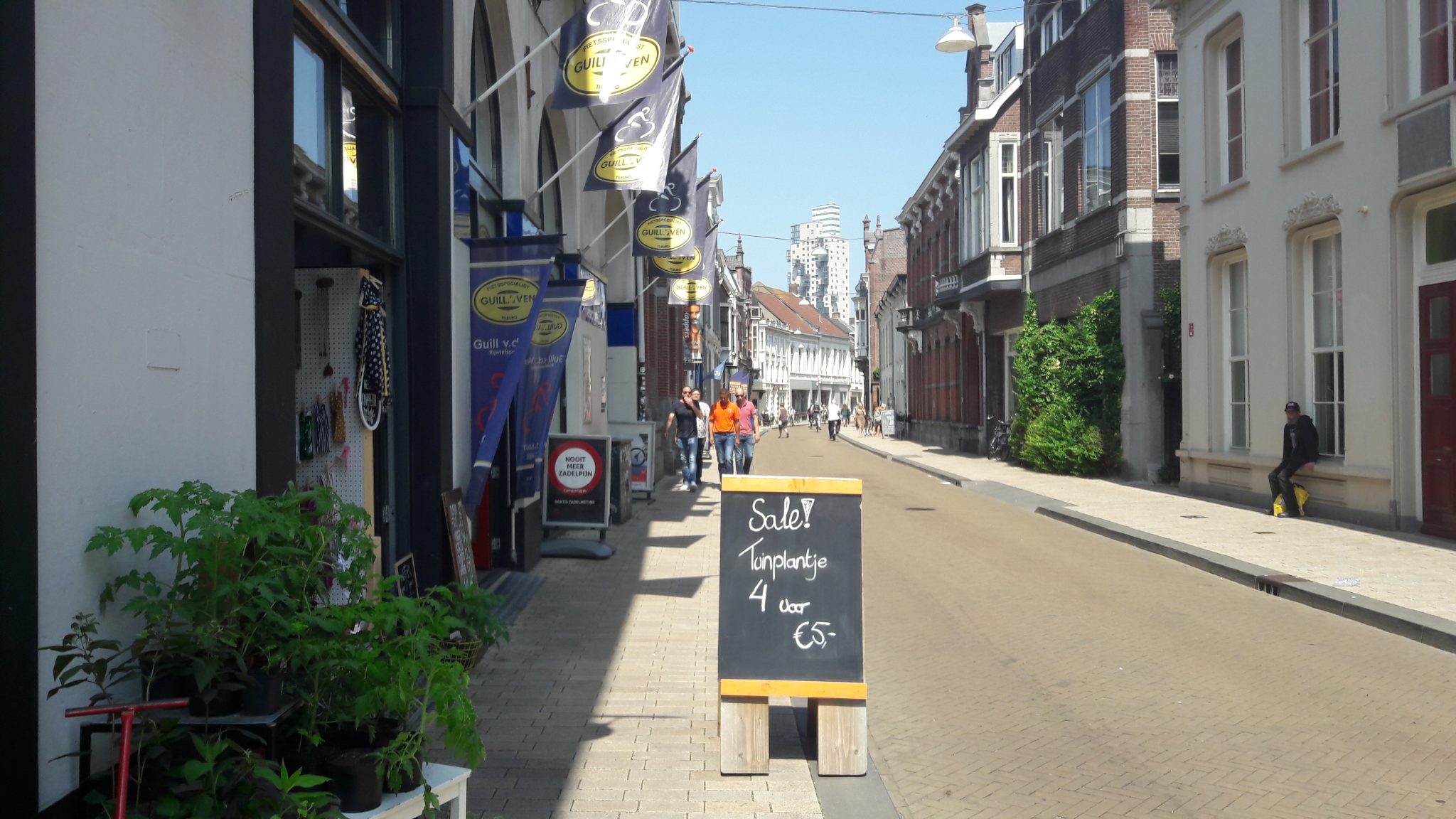 Velerlei plantjes