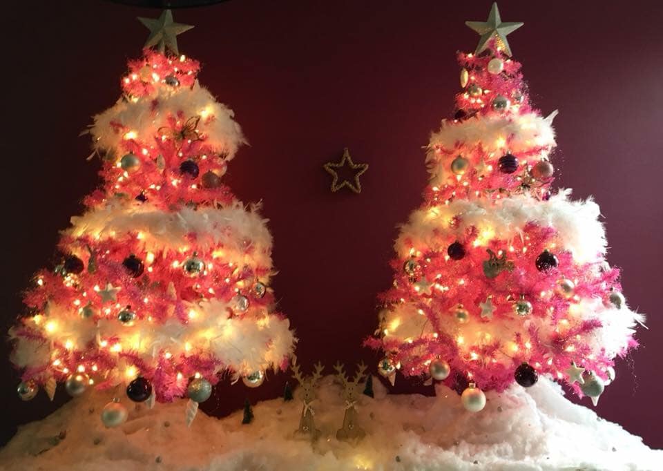 Kerstboom Tilburgers
