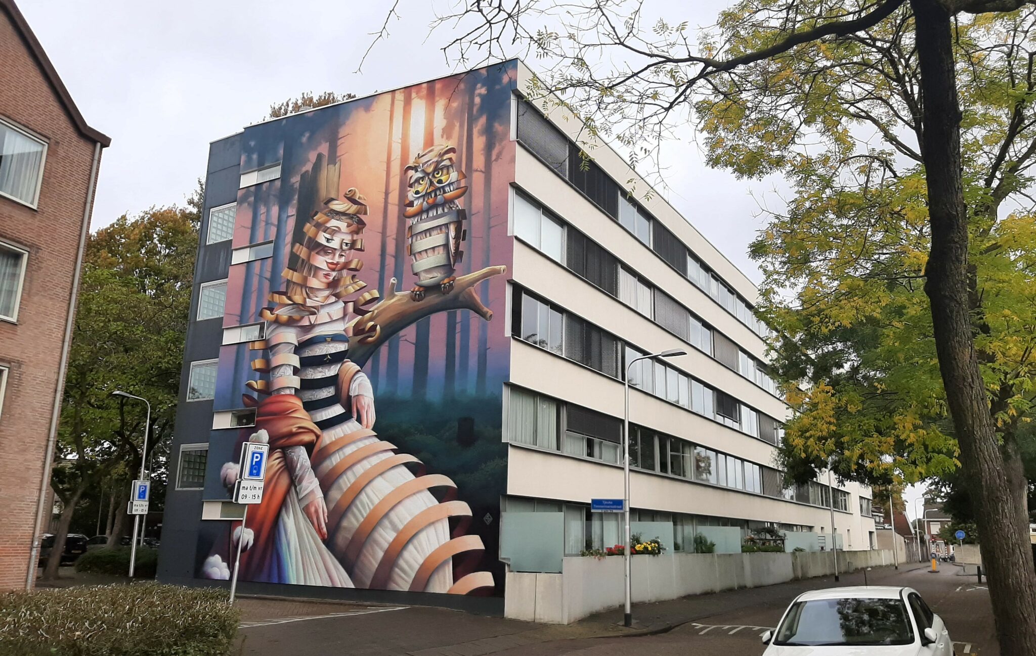Tjeuke timmermansstraat