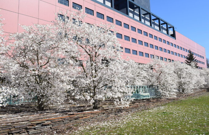 weersverwachting april