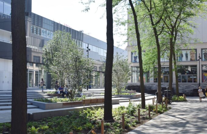 Stadswandeling Tilburg
