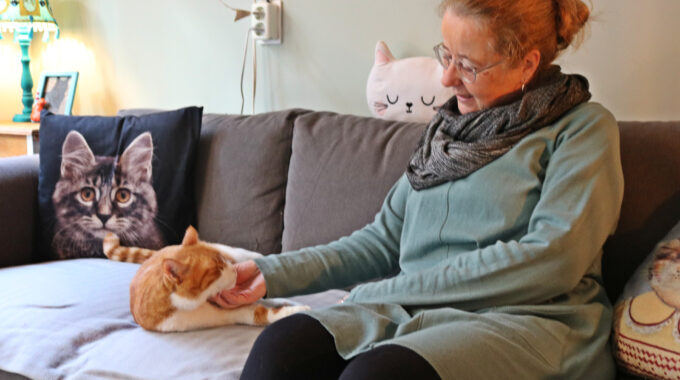 Kattencafé