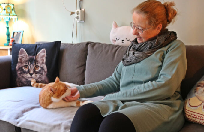 Kattencafé