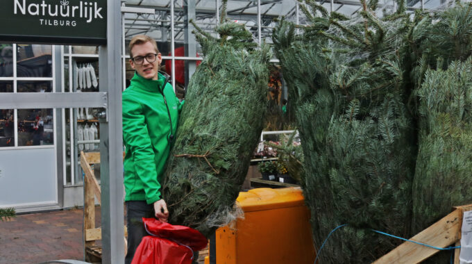 Kerstbomen Tilburg