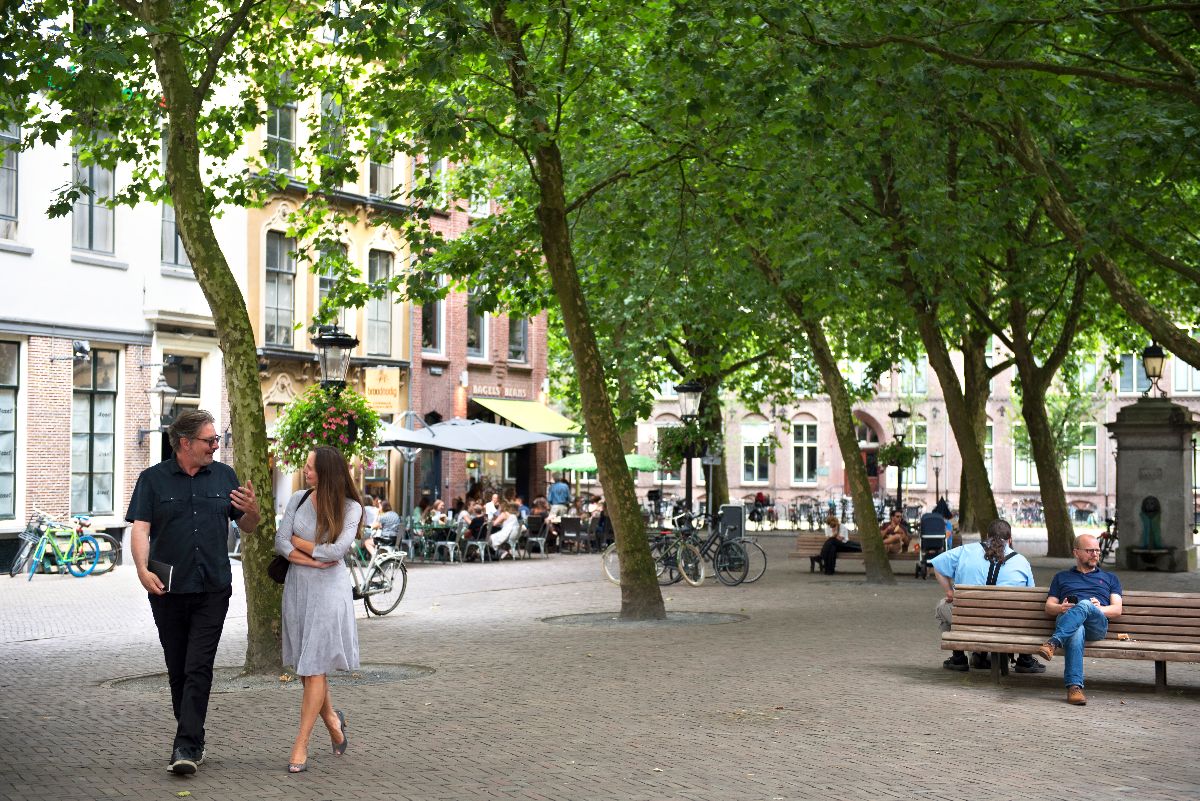 mariaplaats utrecht