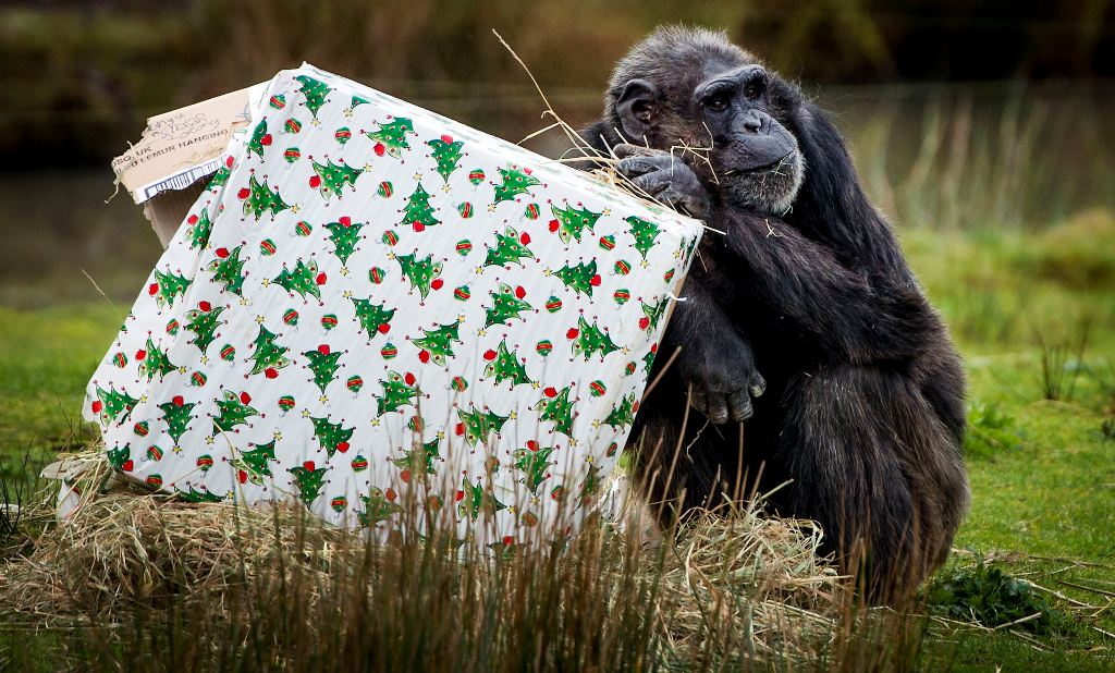 kerstcadeau