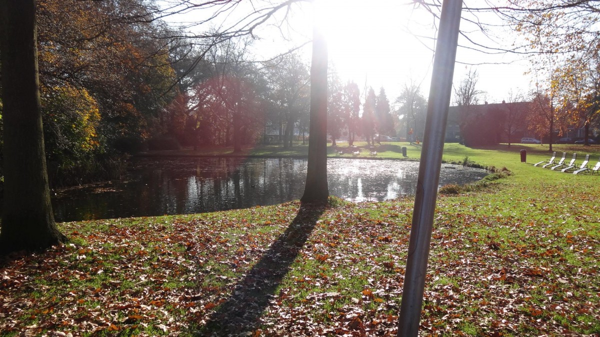 Park Oog in Al Utrecht