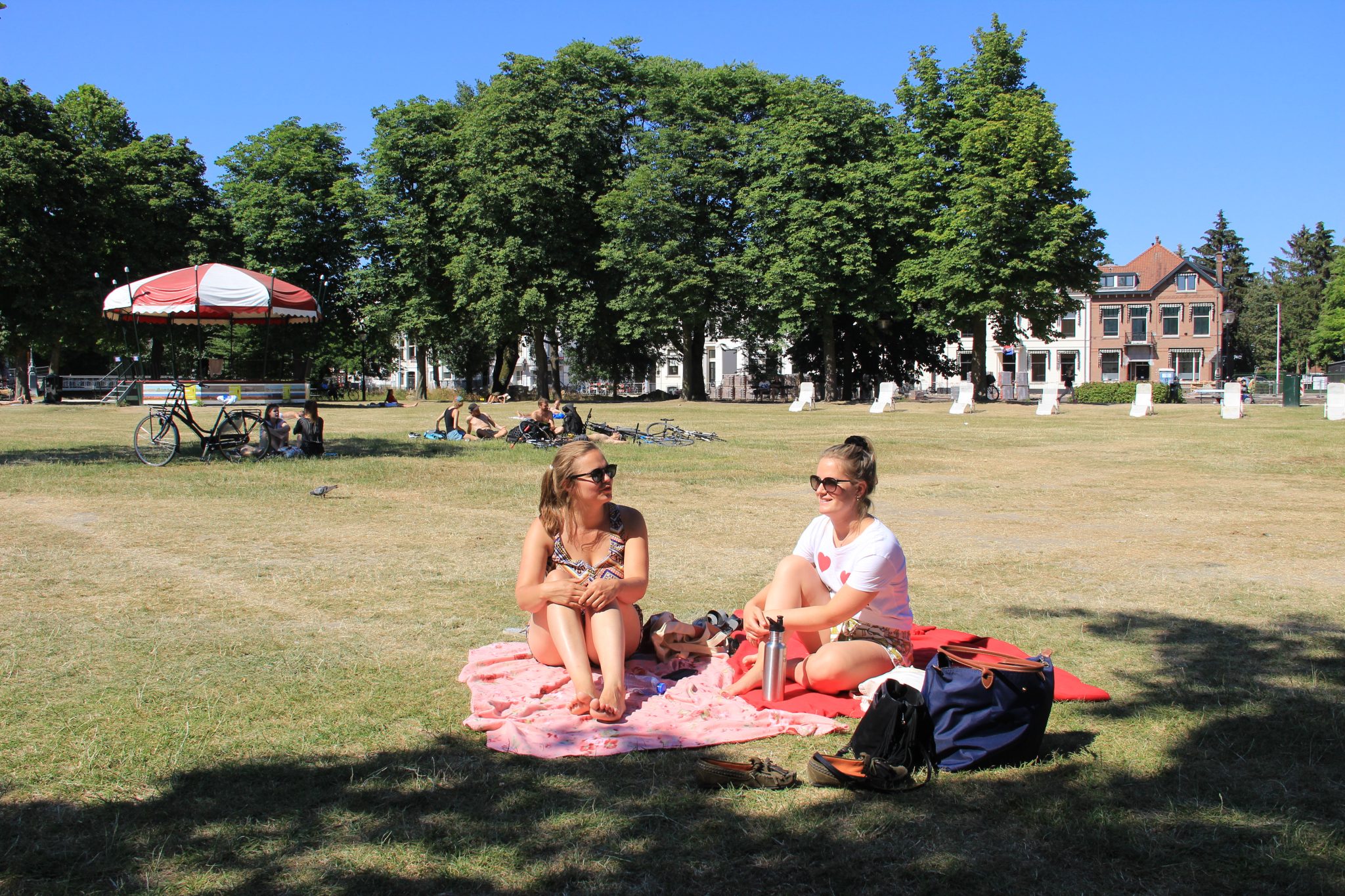 Utrecht park zomer (1)
