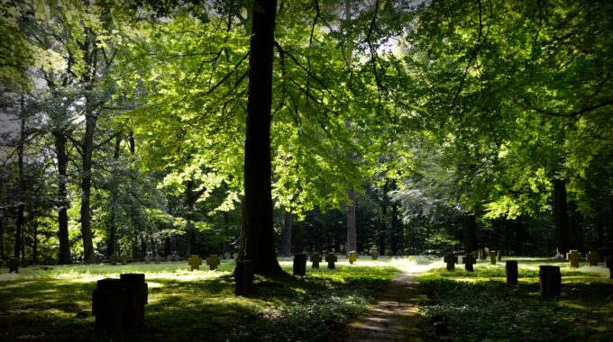 As verstrooien in Utrecht