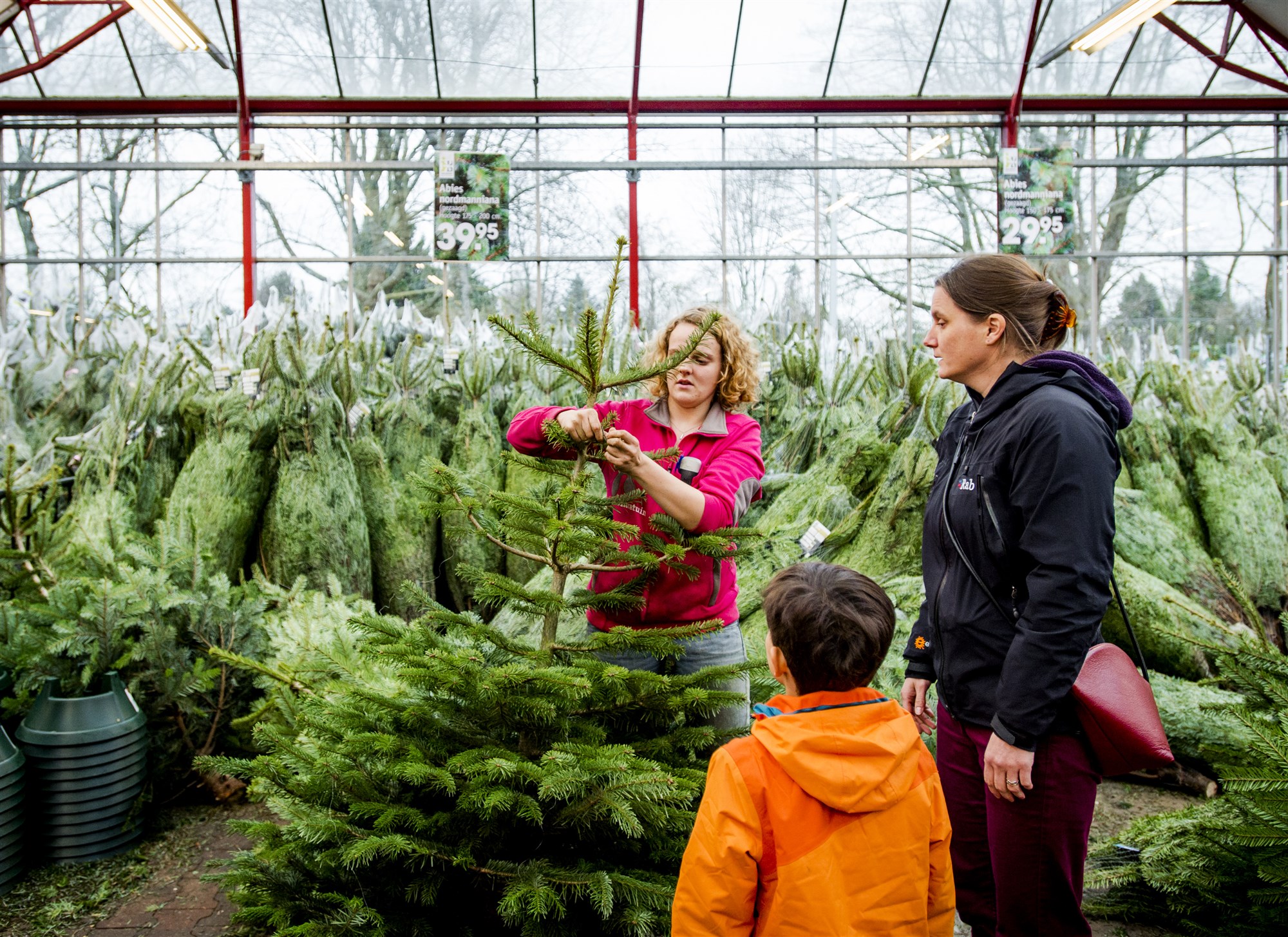 kerstboom kopen in Utrecht