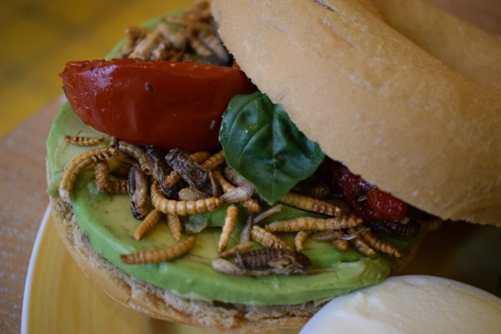 4 x hier in Utrecht eet je insecten indebuurt Utrecht