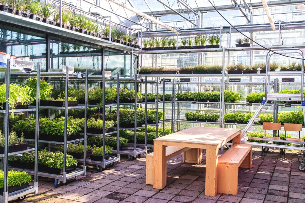 Green House