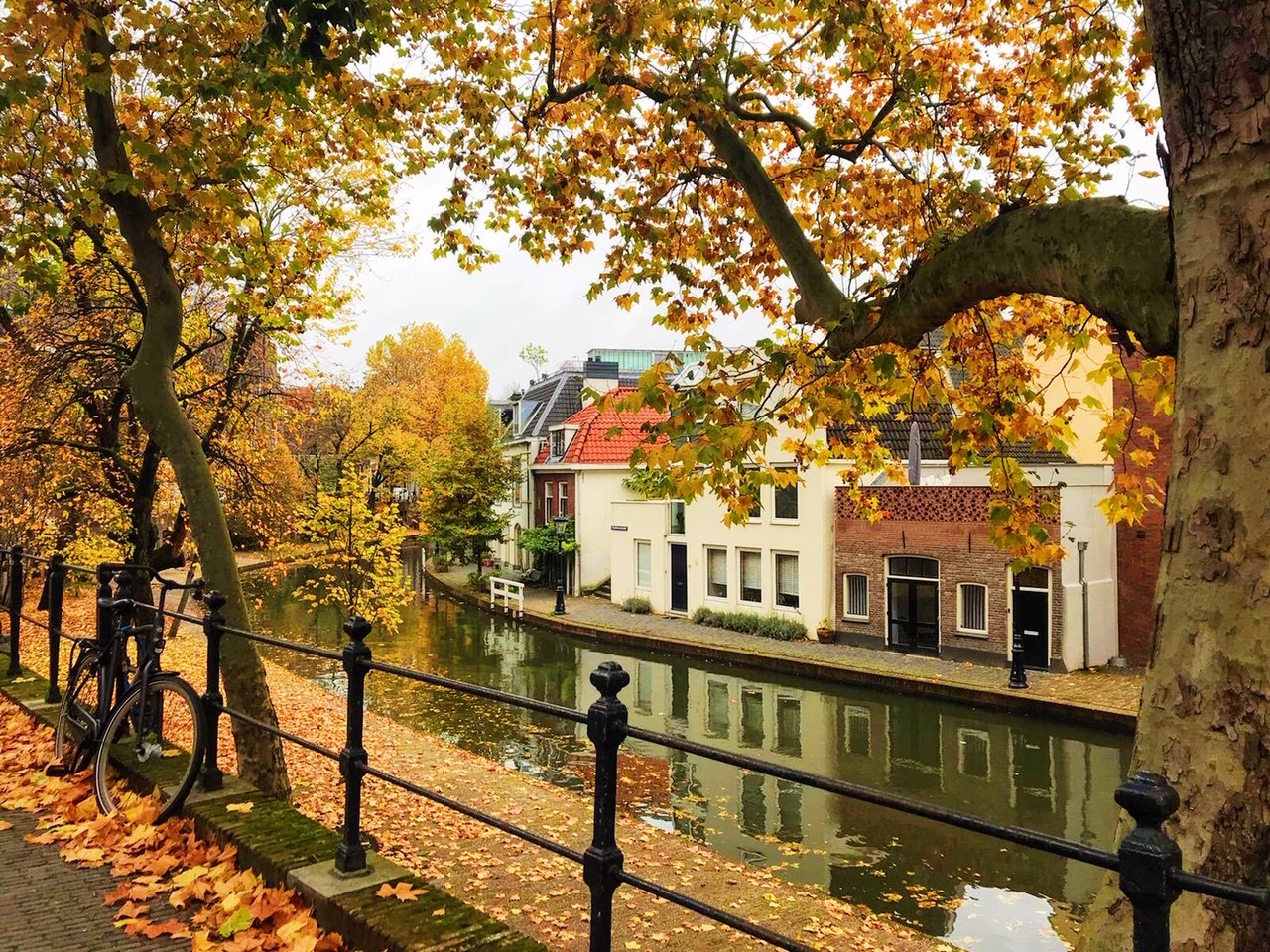 twijnstraat oudegracht
