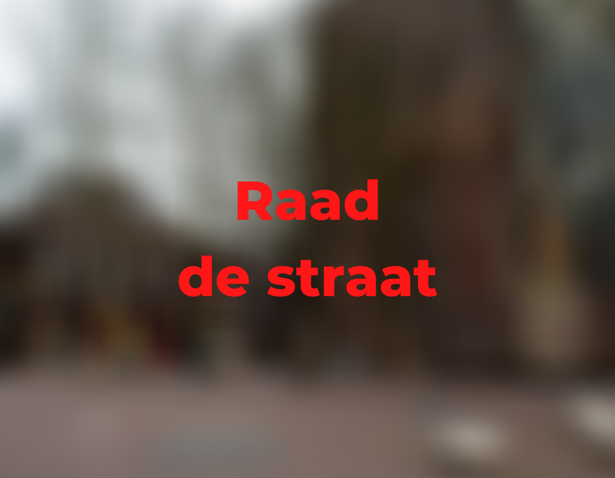 Raad de Straat domplein
