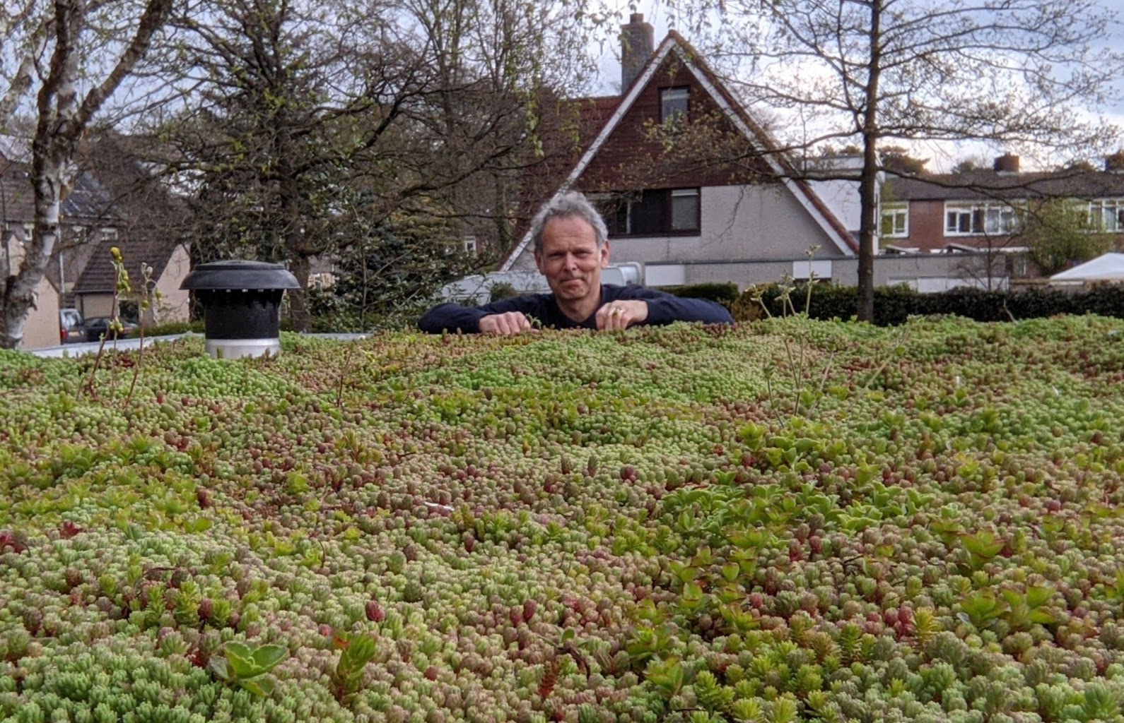 groen dak interpolis