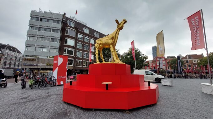 Nederlands Film Festival 2021