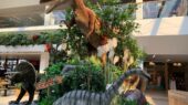 Foto: Winkelcentrum Bisonspoor
