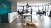 TALECT is een wervings- en recruitmentbureau en heeft veel vacatures in regio IJsselstein en Utrecht