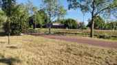 Schade droogte Utrecht