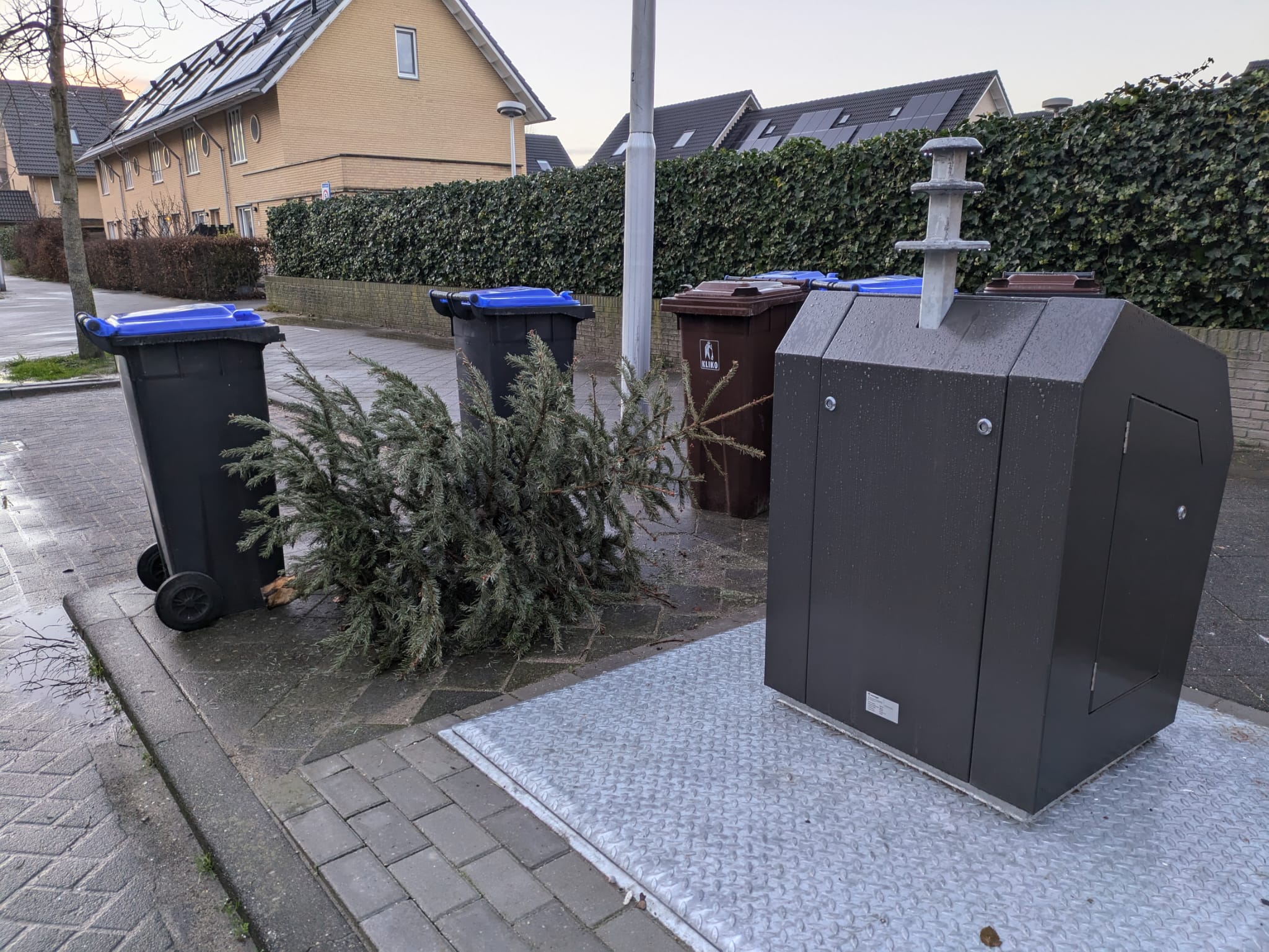 Kerstboom inleveren of op laten halen in Utrecht: dit moet je weten