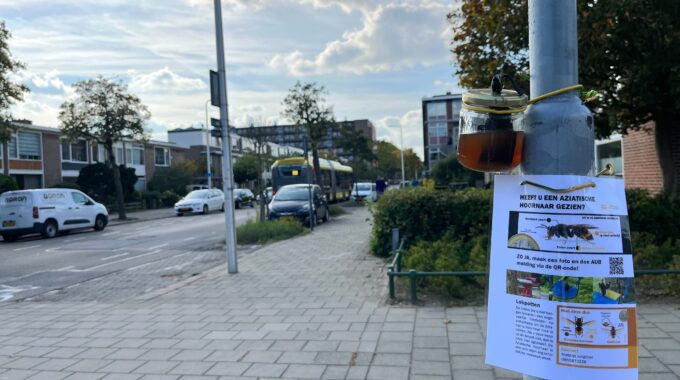 Potjes bruine vloeistof Utrecht