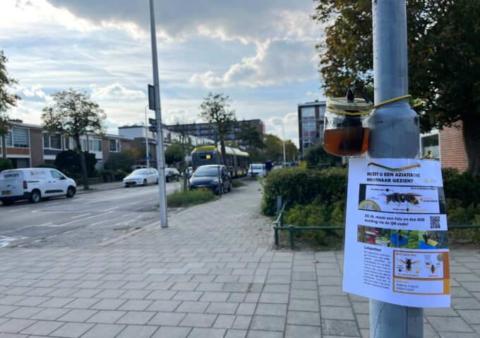 Potjes bruine vloeistof Utrecht