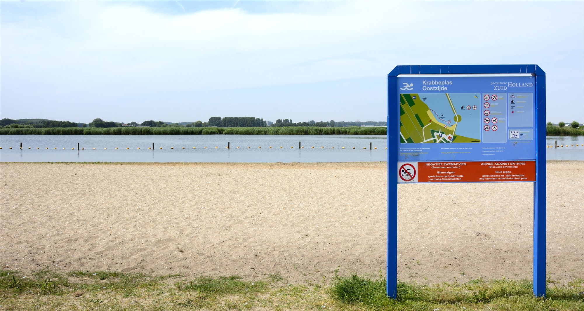 surfplas vlaardingen blauwalg