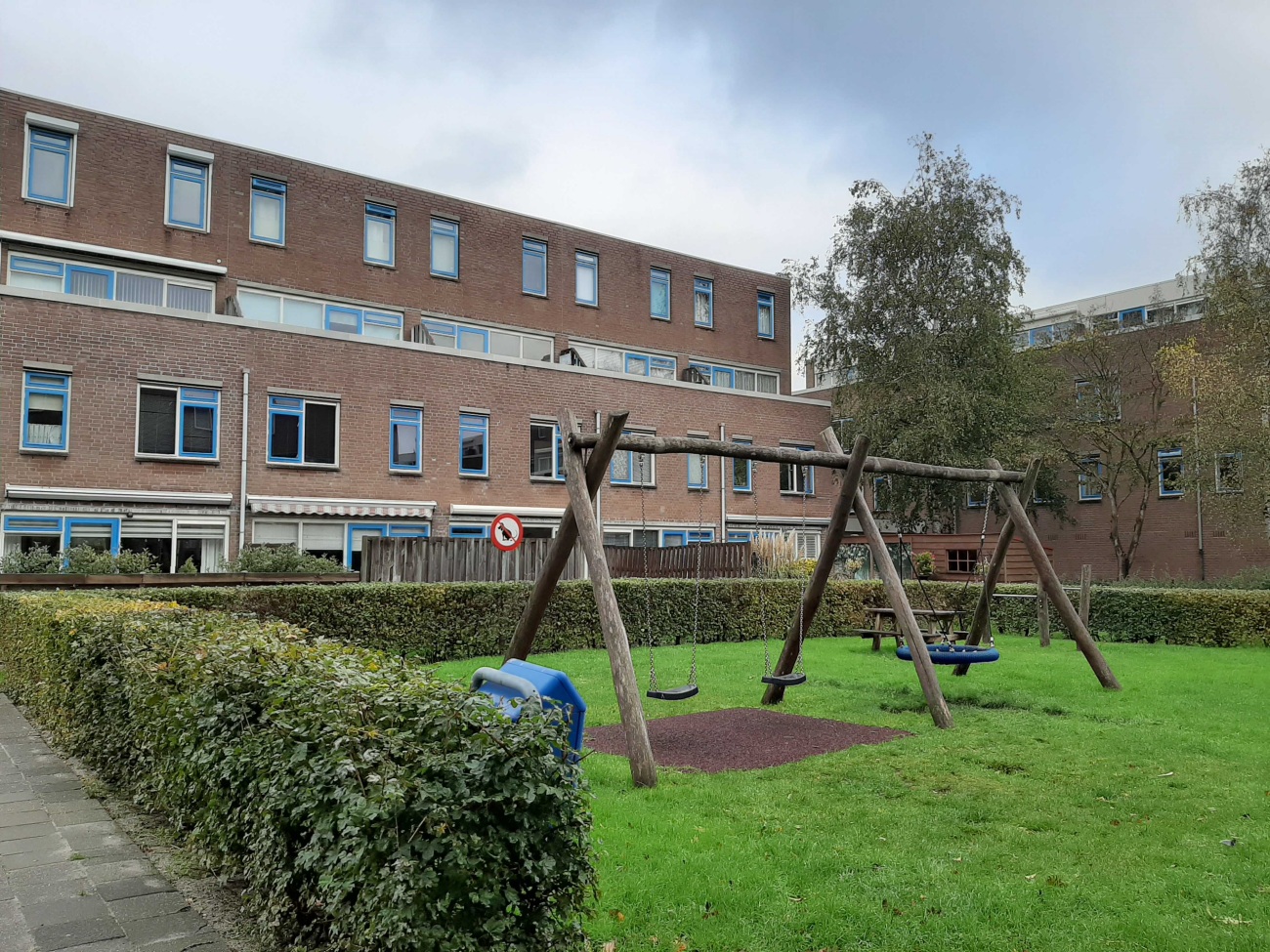 holy wonen