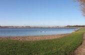 Vallende sterren Vlaardingen