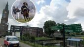 napoleon vlaardingen