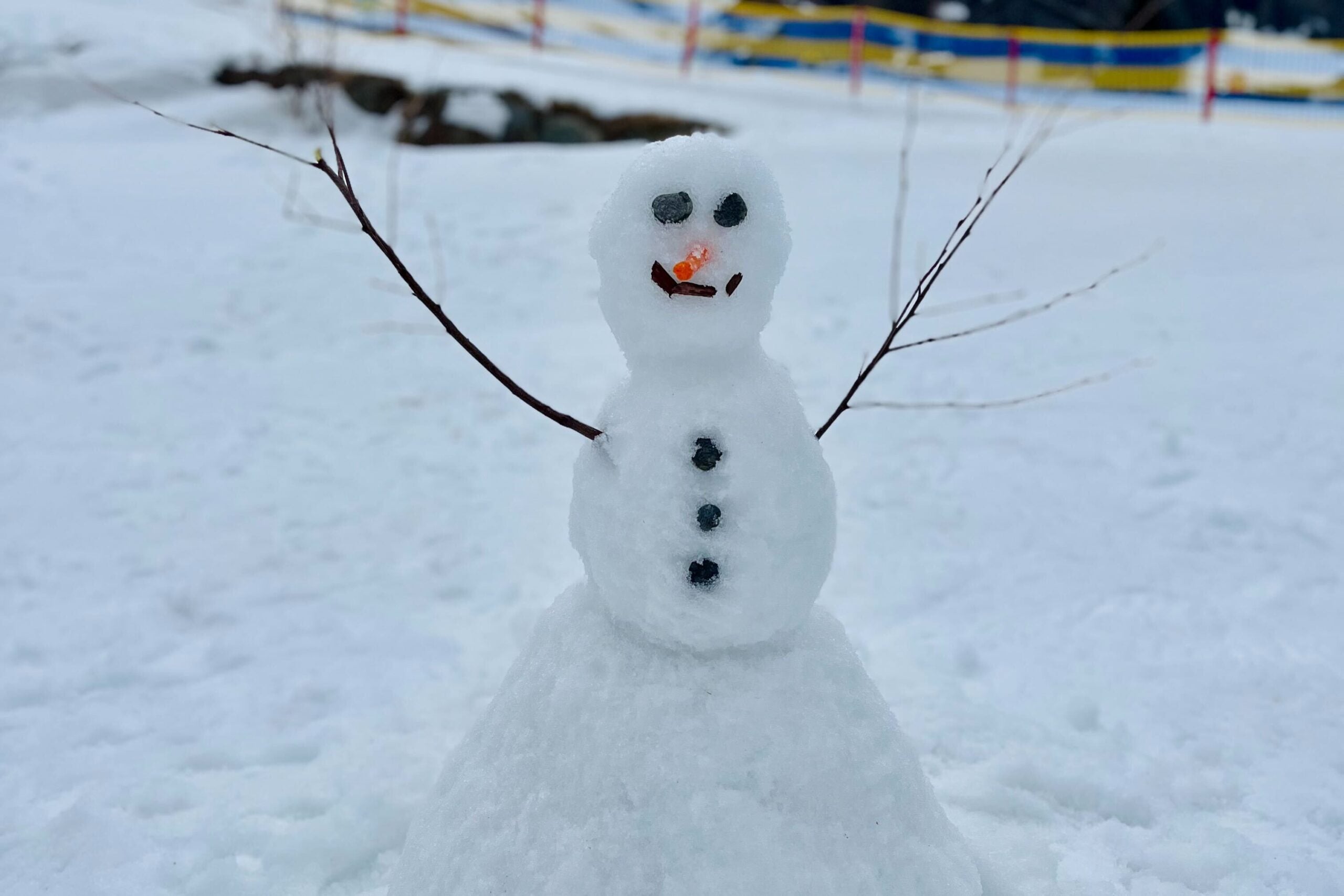 Sneeuwpop gemaakt? Wij zoeken de mooiste wintercreaties van Vlaardingen