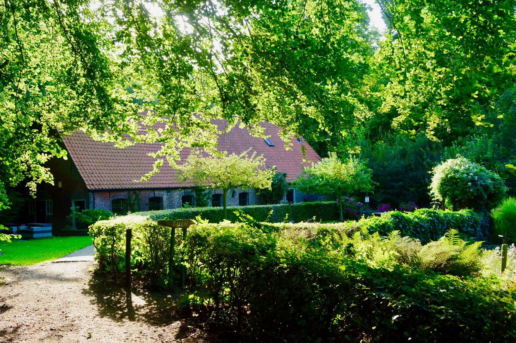 Het Staelduinse Bos bij 's-Gravenzande