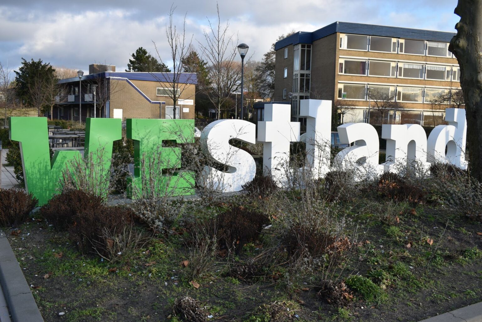 7 x Geweldige locaties in Westland om instagramfoto’s te maken ...