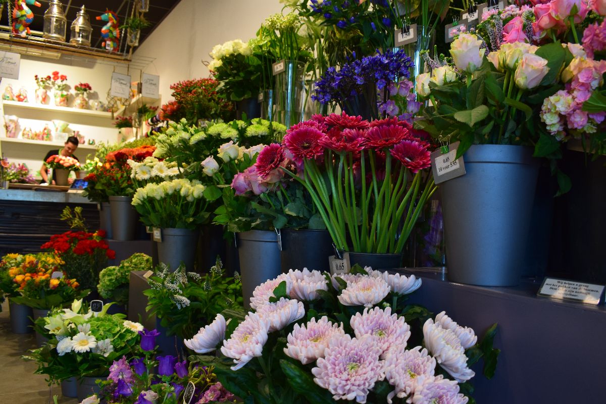 JD Bloemen Woerden