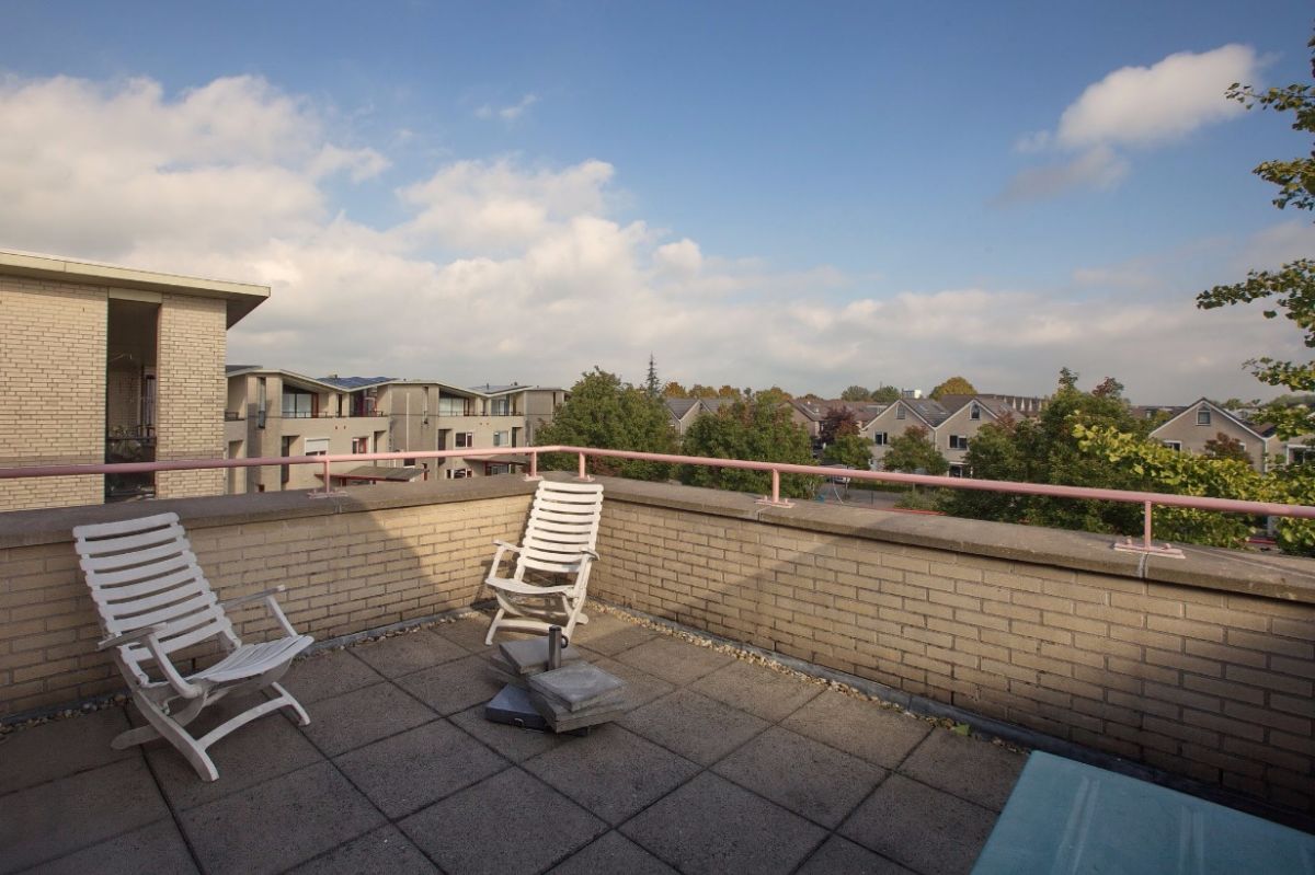 Bomschuit Woerden dakterras
