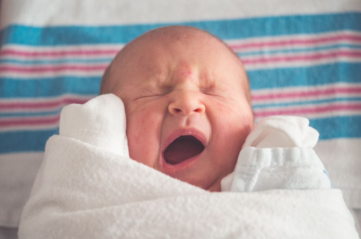babyboom in Woerden