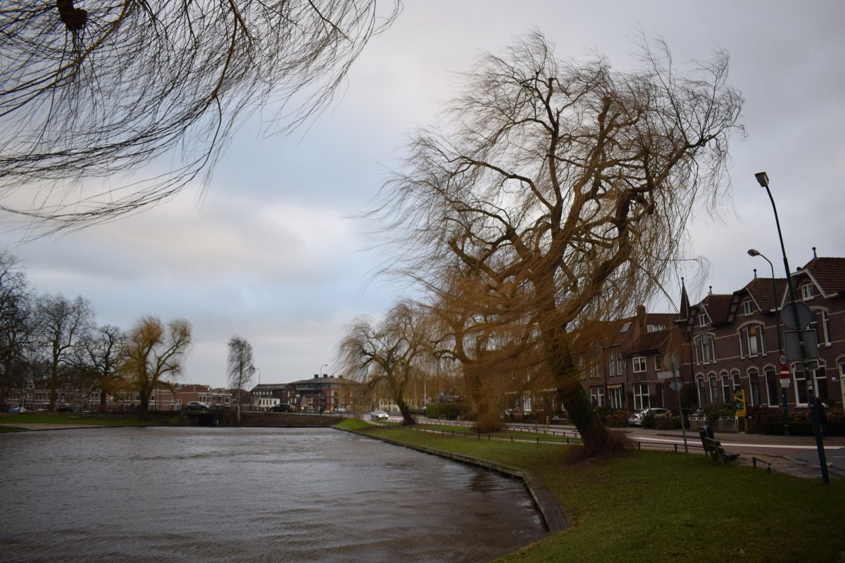 Storm in Woerden Zandwijksingel