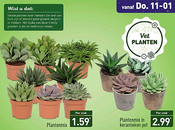 Vetplanten Aldi