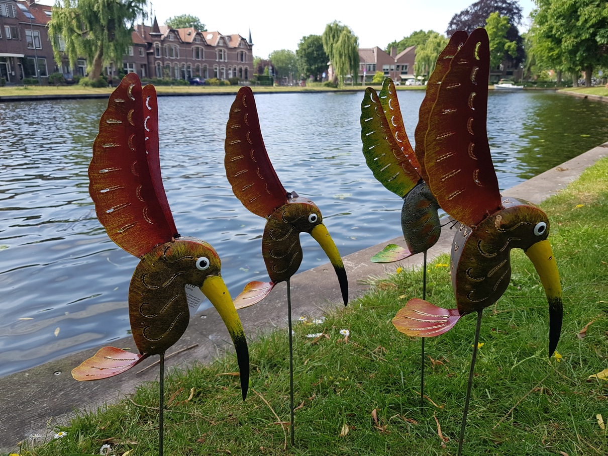 vreemde vogels
