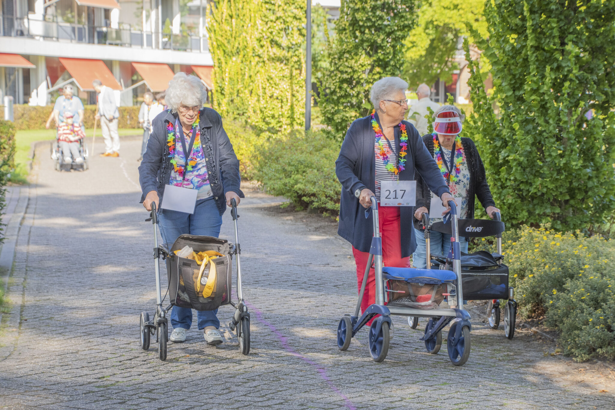 Fotomuur zo zag de eerste editie van de rollatorloop eruit