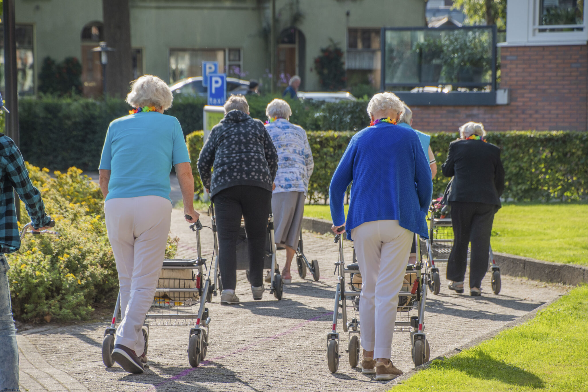 Fotomuur zo zag de eerste editie van de rollatorloop eruit