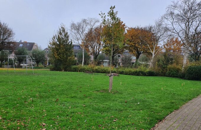tiny forest locatie
