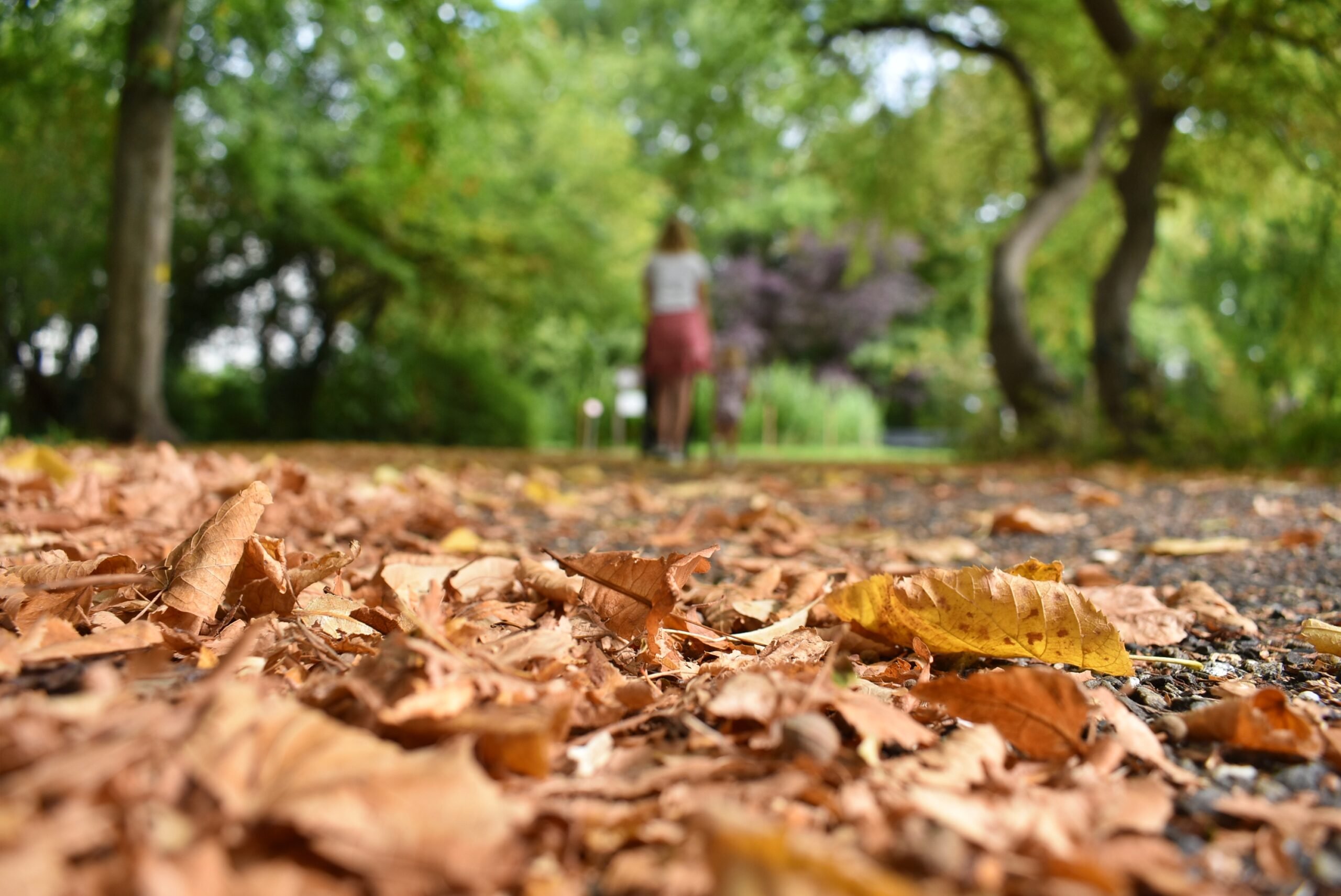 Dit is de weersverwachting voor november: ‘De maand begint vrij zacht’